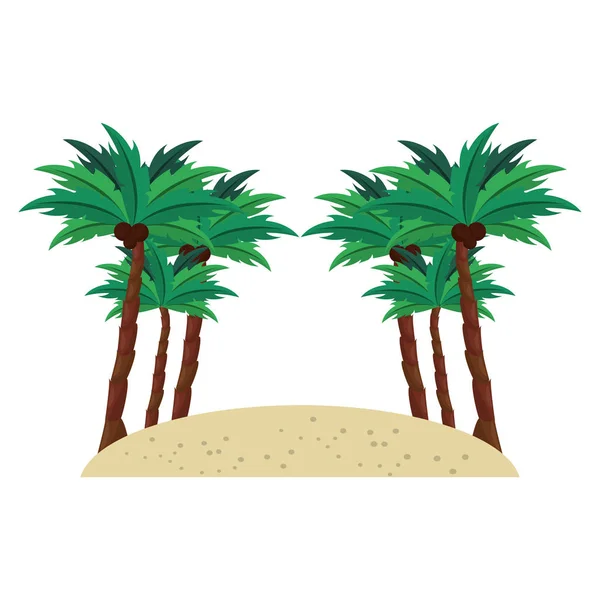 Plaża z piasku i drzew palmy dekoracje na białym tle — Wektor stockowy