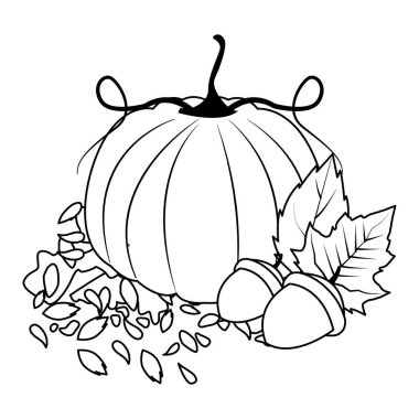 Sonbahar balkabağı ve fındık mevsimlik meyve ikonları