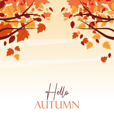 hello autumn season with tree branches scene