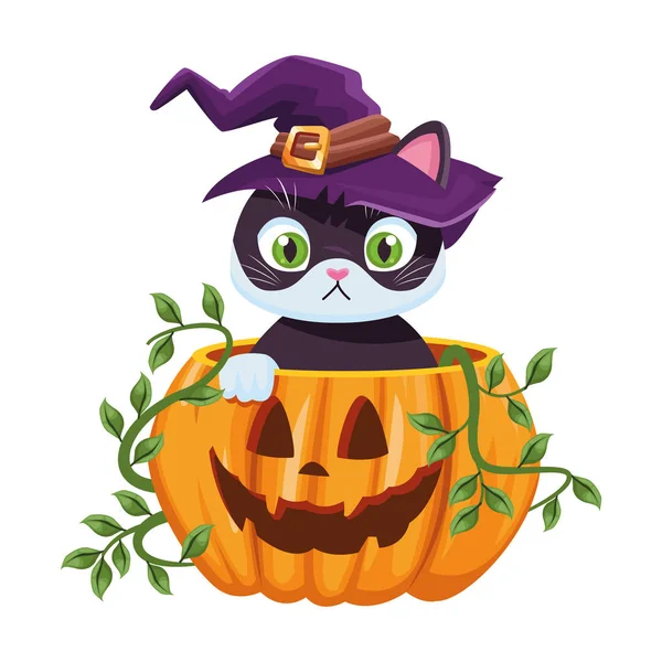 Halloween pumpkin with little cat — 스톡 벡터