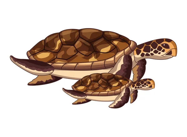 Due tartaruga marina icona cartone animato — Vettoriale Stock