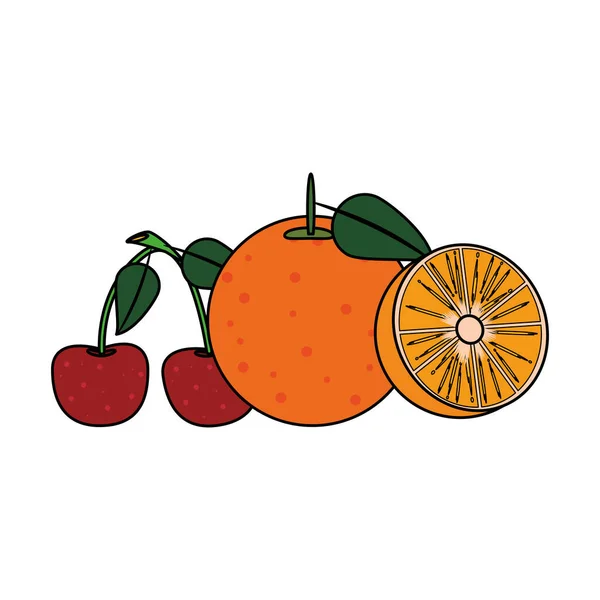Orangen und Kirschen frisches Obst gesunde Nahrung — Stockvektor