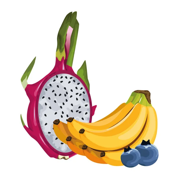 Exotic tropical fruit icon cartoon — Stock Vector