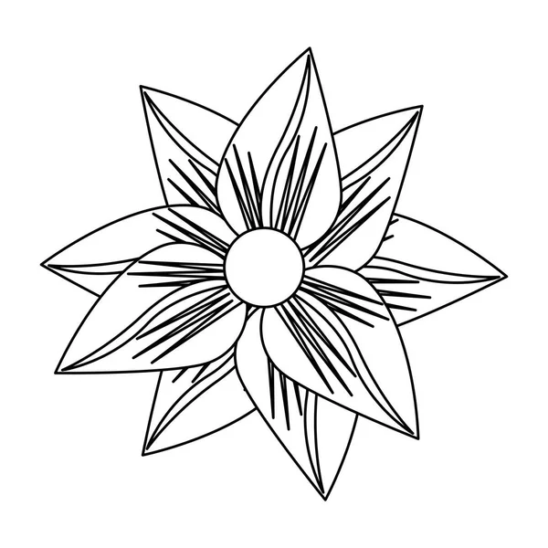 siyah beyaz çiçek tropikal bahar çiçek karikatür