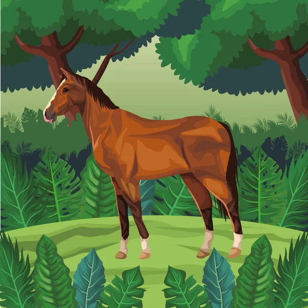 Horse icon cartoon — Stock Vector