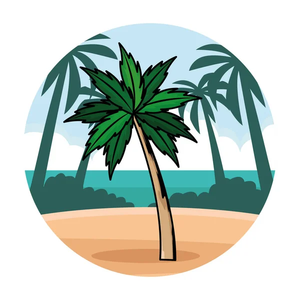 Palm strand boom natuur cartoon — Stockvector