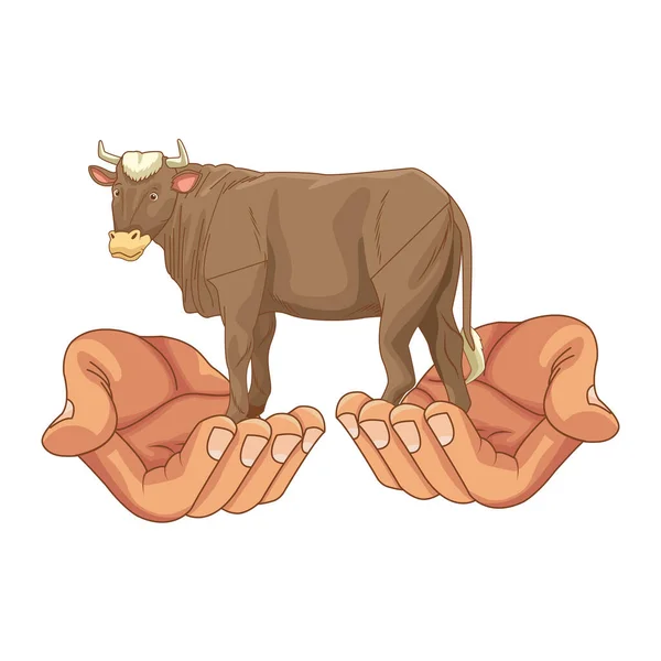 Mains tenant animal vache sacrée dessin animé — Image vectorielle
