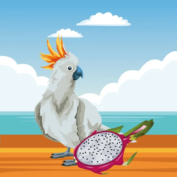 Papoušek divoký Kakadu — Stockový vektor
