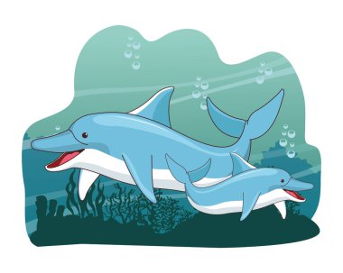 İki yunus birlikte yüzüyor.