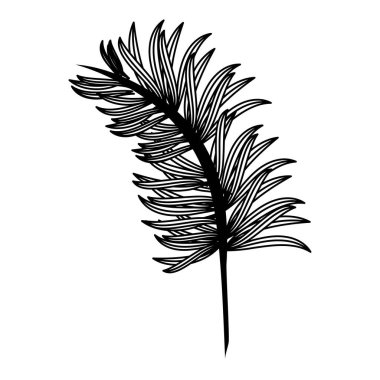 Tropikal doğa çizgi filmi siyah ve beyaz olarak izole edilir.