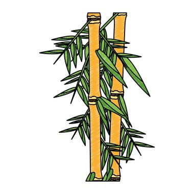 Bambu asya bitki karalama