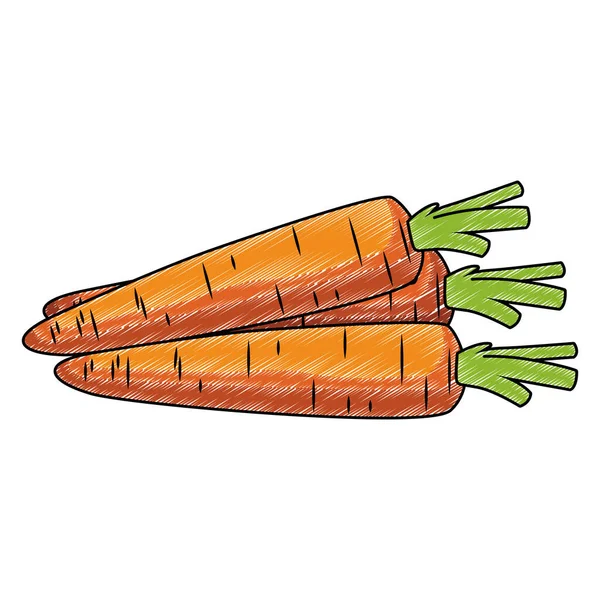 Zanahorias verduras frescas garabato — Vector de stock