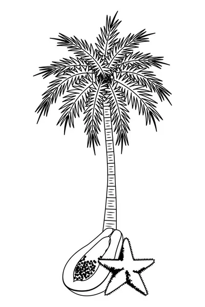 Plage d'été et dessin animé de vacances en noir et blanc — Image vectorielle