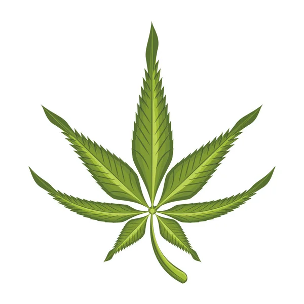 Cannabis martihuana sativa hemp cartoon — Stock Vector