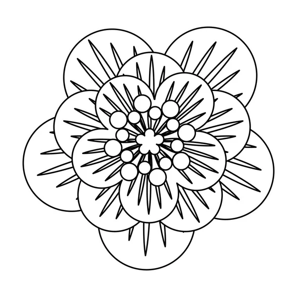 Flower Tropical Spring blommig tecknad i svart och vitt — Stock vektor