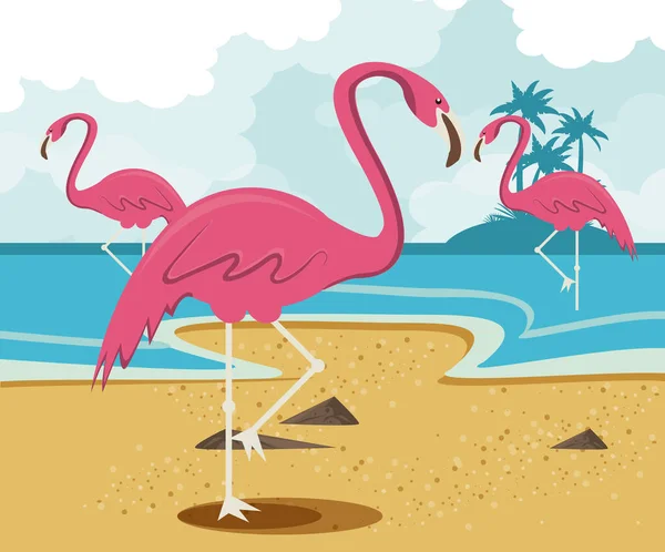 Letní pláž a dovolená scenérie — Stockový vektor