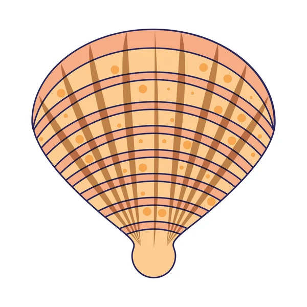 Conchas de mar icono de dibujos animados aislados — Archivo Imágenes Vectoriales