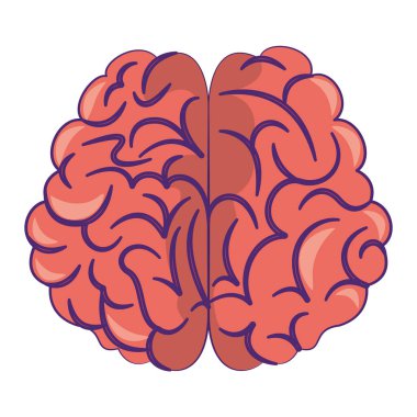 Human brain intelligence symbol cartoon isolated