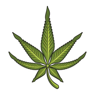 esrar martihuana sativa kenevir karikatür