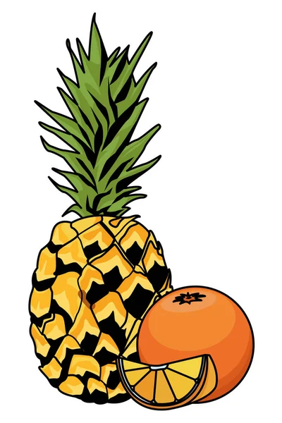 Ananász és narancs citromos gyümölcs szeletelve — Stock Vector