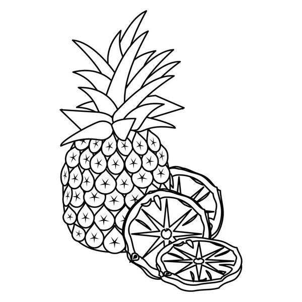 Diseño de frutas tropicales — Archivo Imágenes Vectoriales