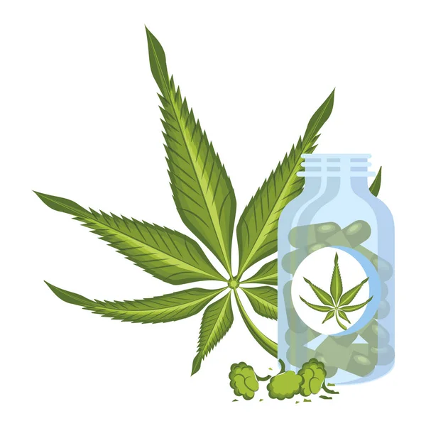 Cannabis martihuana sativa cáñamo dibujos animados — Vector de stock