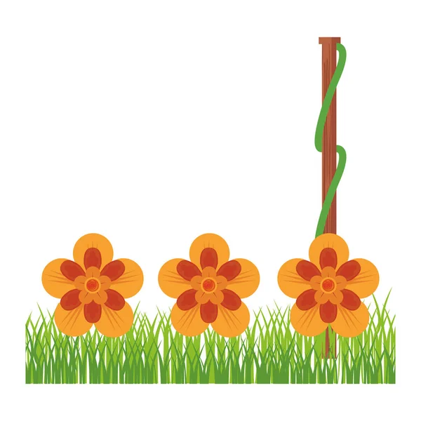 Fiori tropicale primavera floreale cartoni animati — Vettoriale Stock