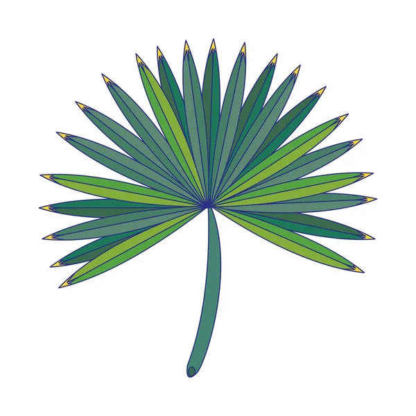 Feuilles tropicales nature dessin animé isolé — Image vectorielle