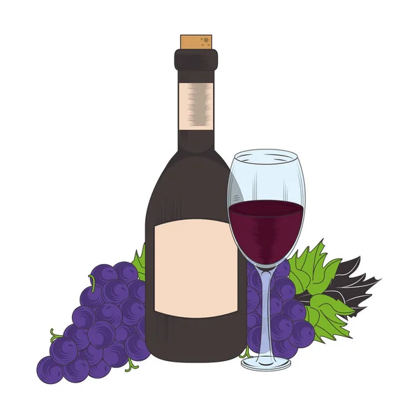 Bando de uvas e garrafa de vinho —  Vetores de Stock