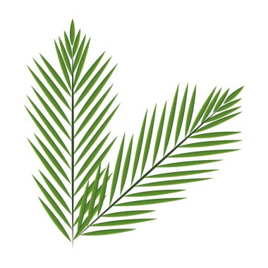 Büyük tropikal yaprak ikonu çizgi filmi