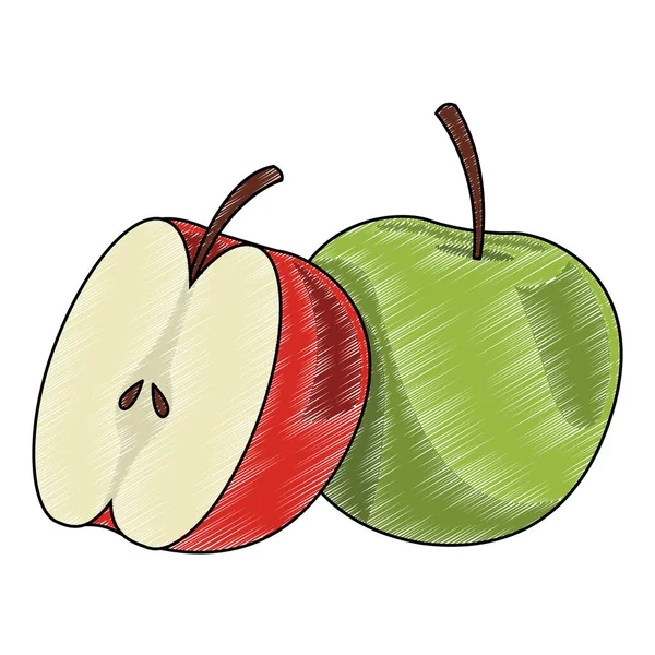 Æbler halv cut scribble – Stock-vektor