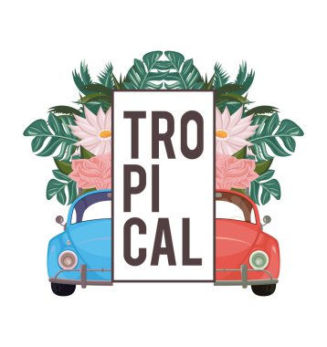 Tropikal hayat ve plaj yaz kartı