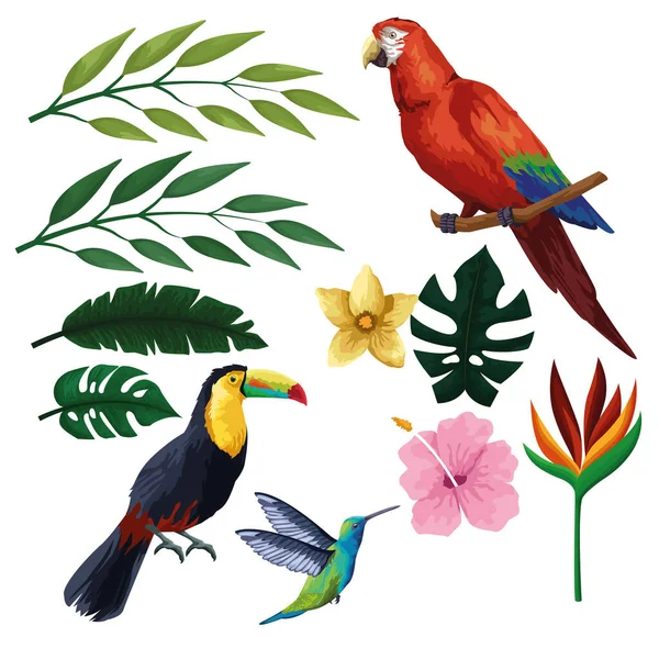 Exotic birds and tropical fauna — Stock Vector