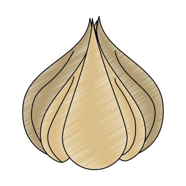 Sarımsak taze sebze karalama