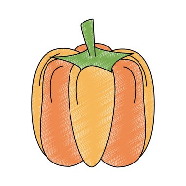 Kabak taze sebze karalama