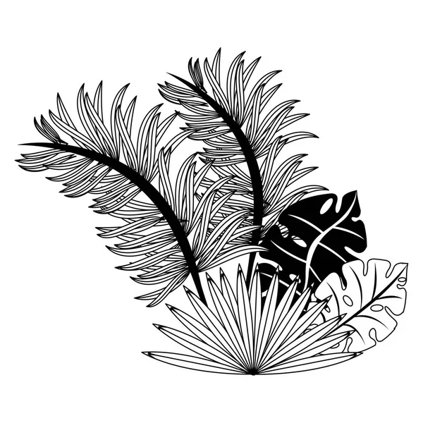 Tropische Blätter Natur Karikatur isoliert in schwarz und weiß — Stockvektor