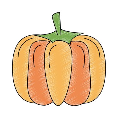 Kabak taze sebze karalama