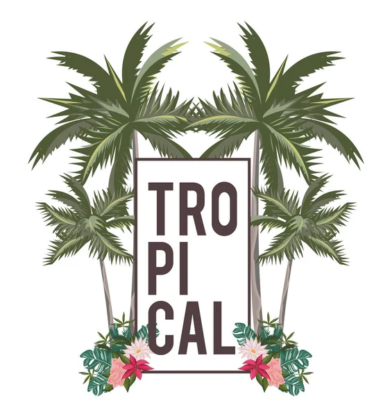 Vie tropicale et carte d'été plage — Image vectorielle