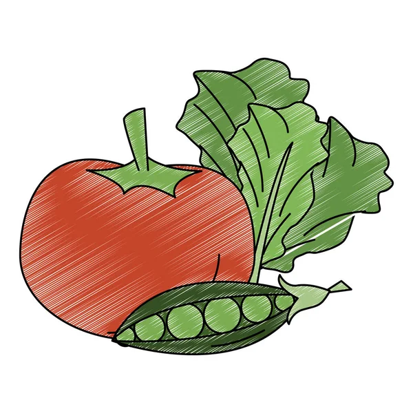 Ντομάτα αρακά και μαρούλι φρέσκα λαχανικά σκαριά — Διανυσματικό Αρχείο