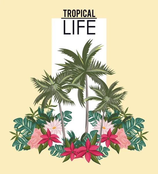 Vie tropicale et carte d'été plage — Image vectorielle