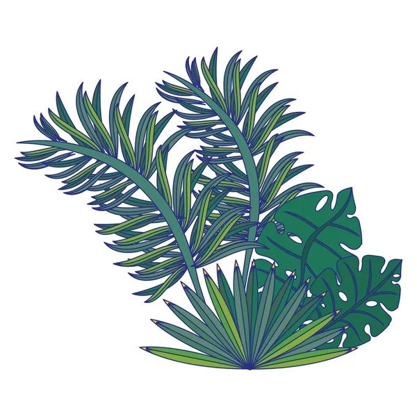 Tropical leaves nature cartoon isolated — Stock Vector