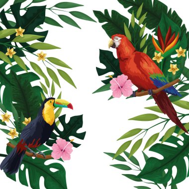 Yaz tropik boş kart çerçevesi