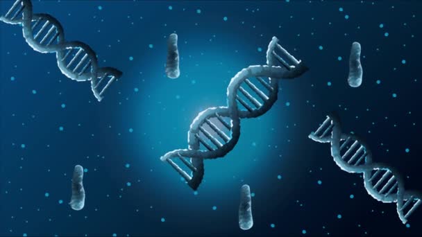 Dna molecules poster science animated — Stock video