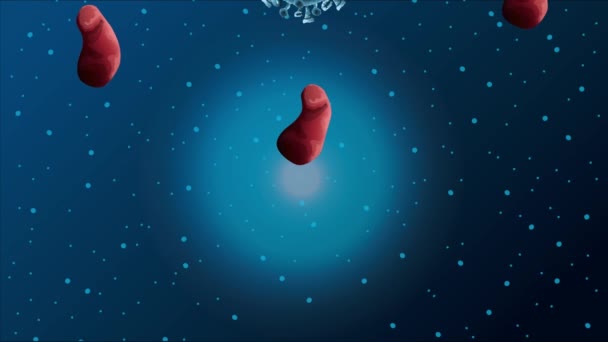 Padrão de partículas pandêmicas covid19 animado — Vídeo de Stock