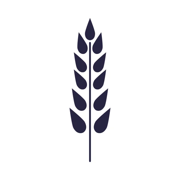 Пшеничний шип елегантна іконка прикраси — стоковий вектор
