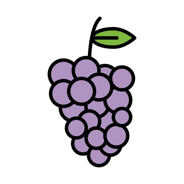 Winogrona świeże owoce zdrowy styl napełnienia żywności — Wektor stockowy