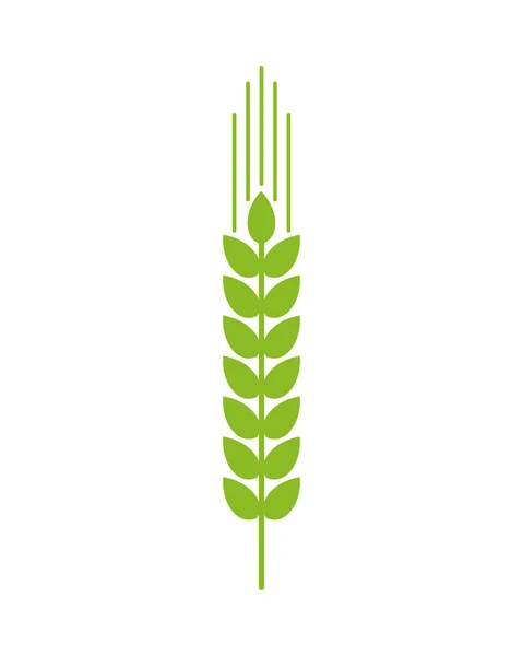 尖刺植物有机产品图标 — 图库矢量图片