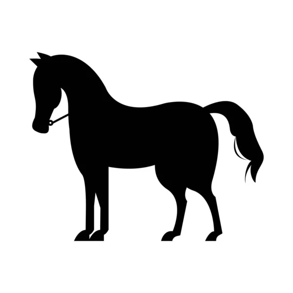 Cheval sauvage animal silhouette isolé icône — Image vectorielle