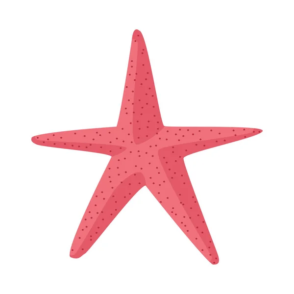 Rozgwiazda morze zwierzę lato ikona — Wektor stockowy