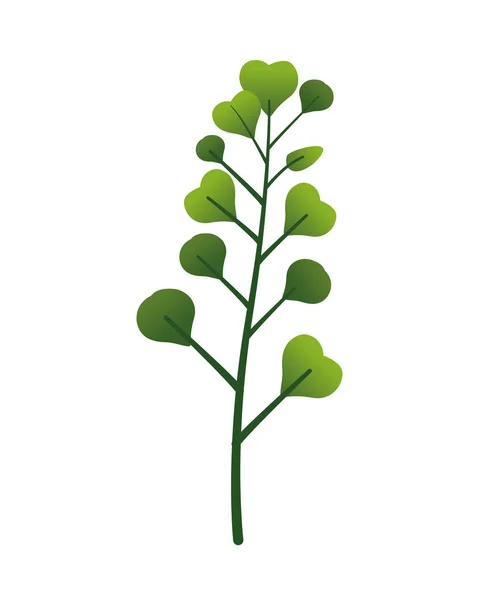 Ramo com folhas planta ícone da natureza — Vetor de Stock